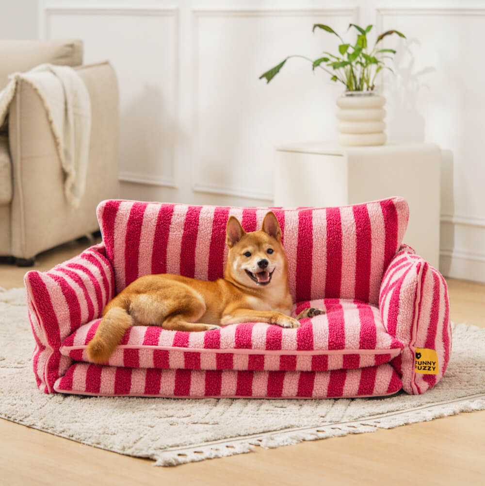 Sofá Cama para Pet Ortopédico Rose + Escadinha de Brinde