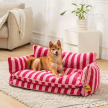 Sofá Cama para Pet Ortopédico Rose + Escadinha de Brinde