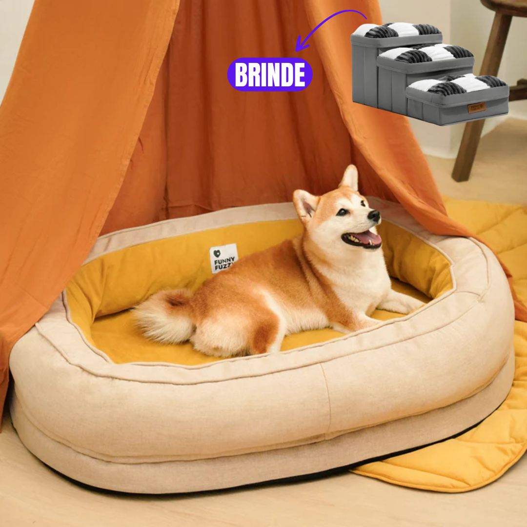 Sofá Cama para cachorro Donut + Escadinha de Brinde