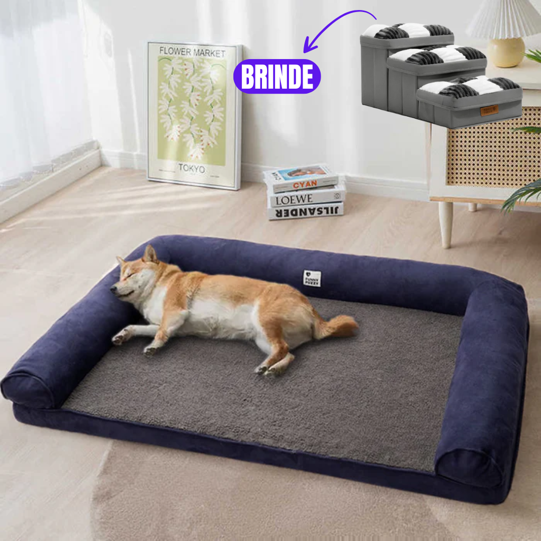 Sofá Cama para pet Ortopédica Fleec + Escadinha de Brinde