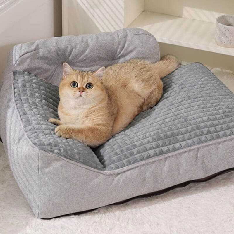 Sofá Cama Para Pet Ortopédico Soft + Escadinha de Brinde