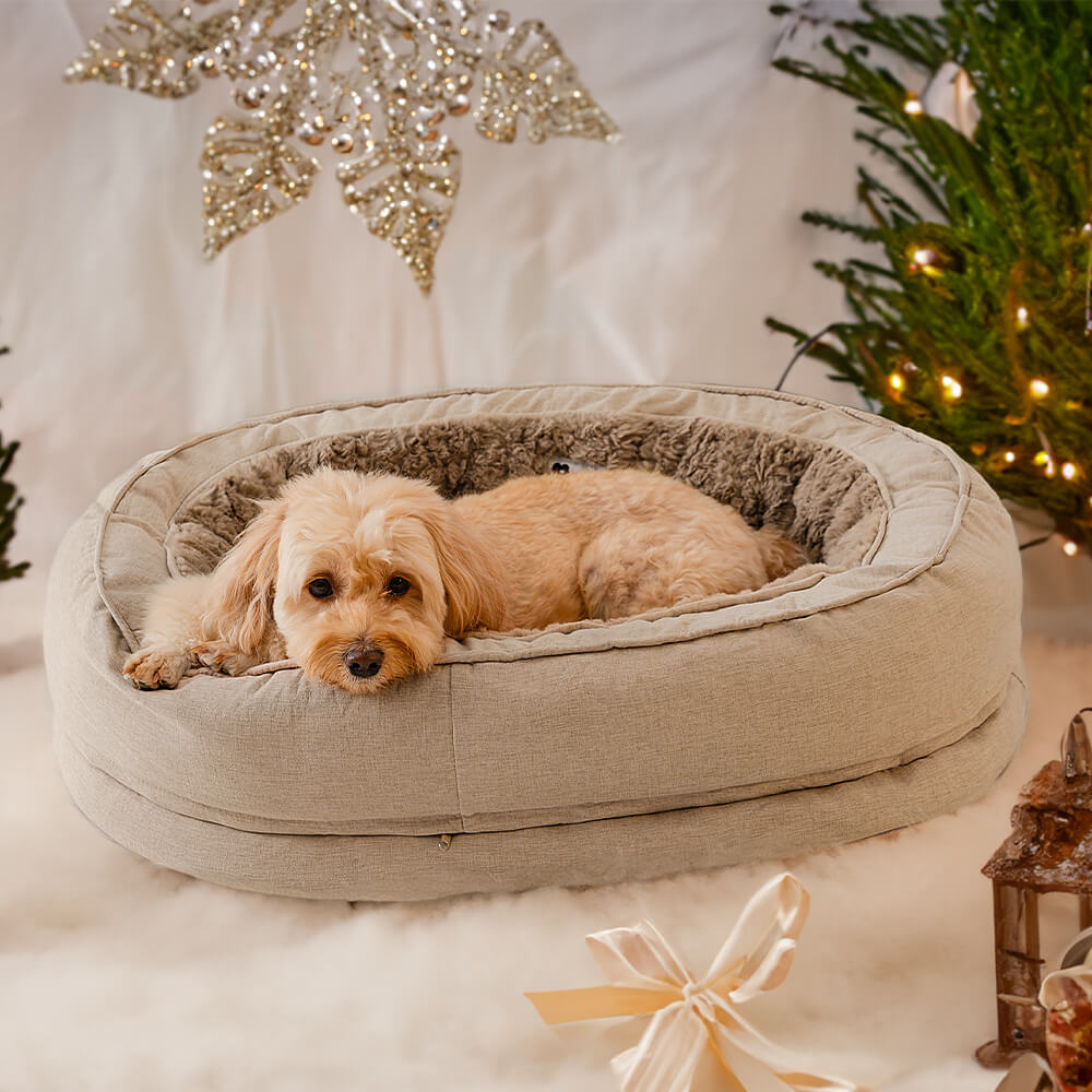 Sofá Cama para cachorro Donut + Escadinha de Brinde