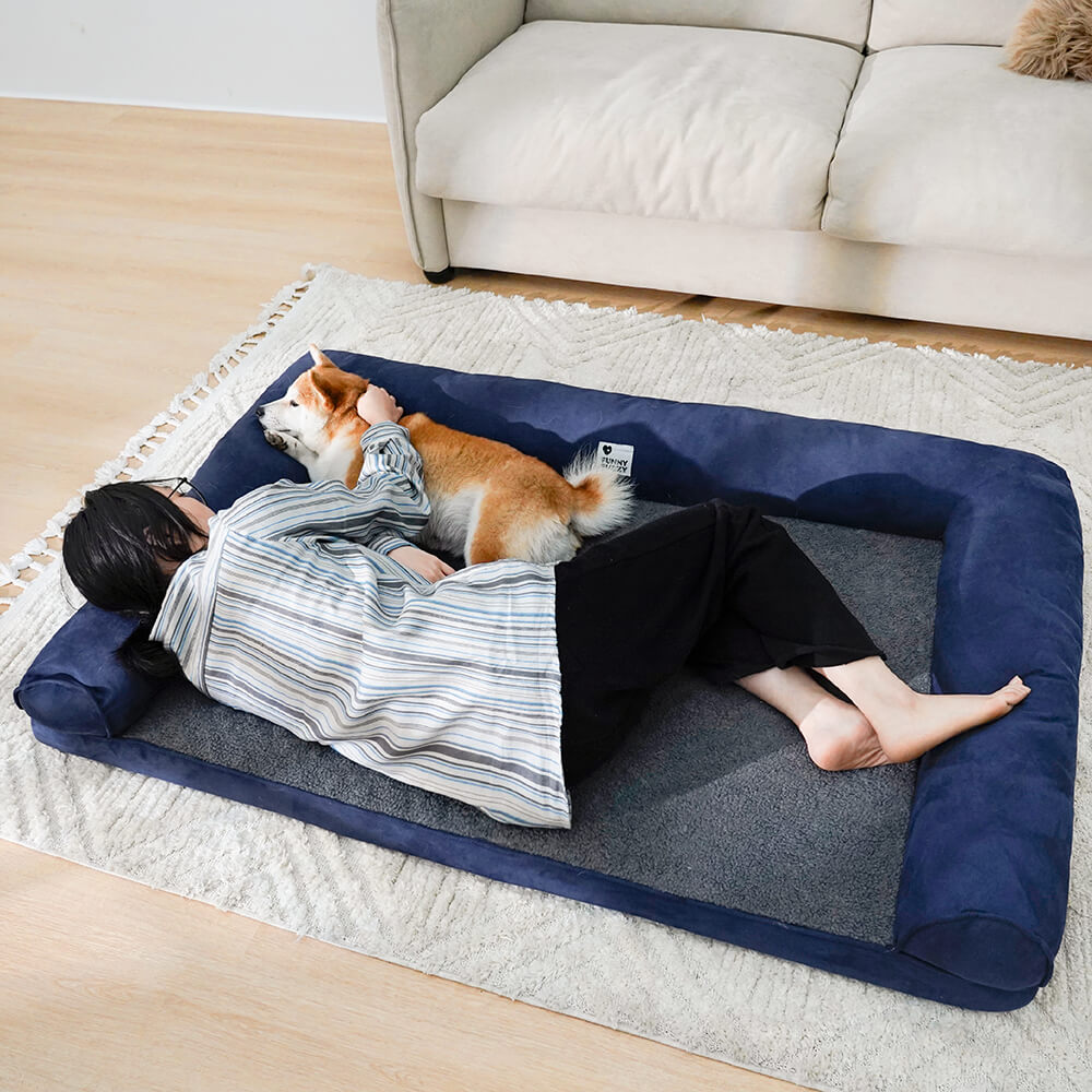 Sofá Cama para pet Ortopédica Fleec + Escadinha de Brinde