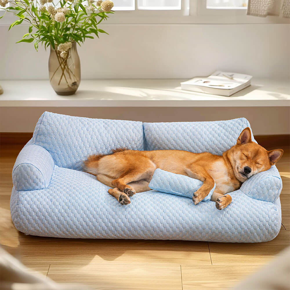 Sofá Cama para Pet Ice + Escadinha de Brinde