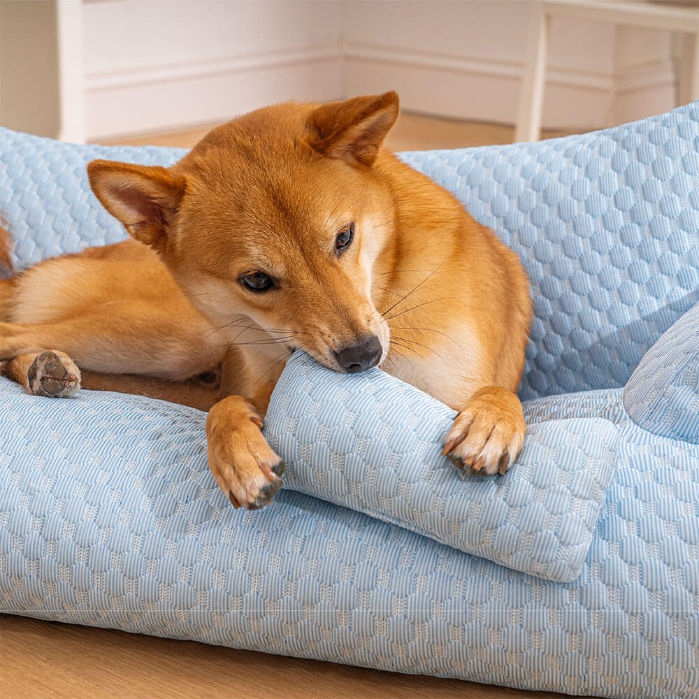 Sofá Cama para Pet Ice + Escadinha de Brinde