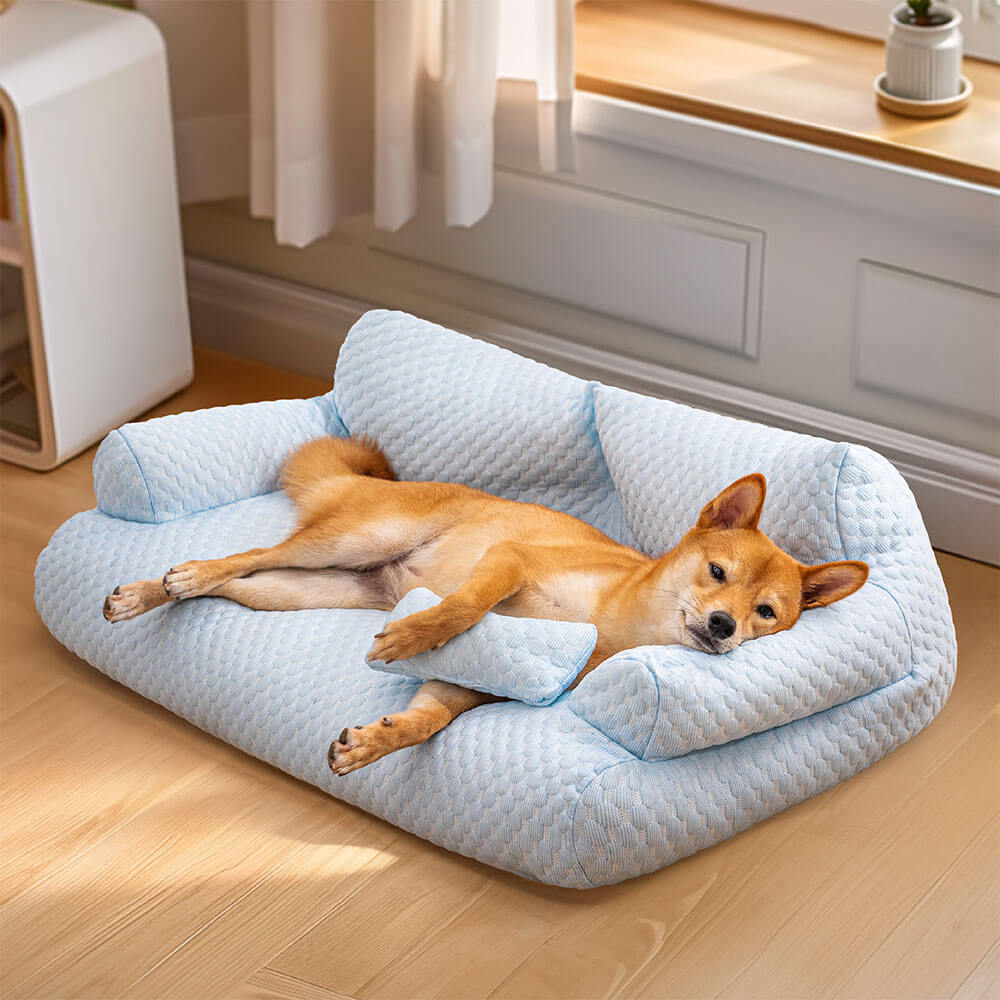 Sofá Cama para Pet Ice + Escadinha de Brinde